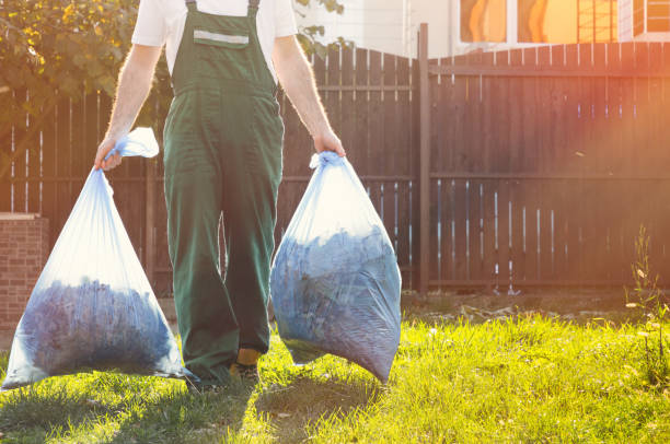 Best Shed Removal  in Olivehurst, CA